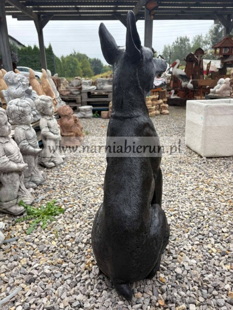 Figurka z żywicy Pies DOBERMAN czarny 75 cm