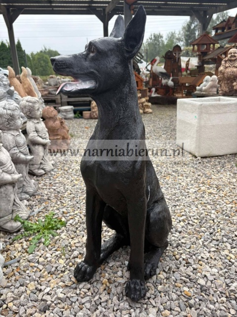 Figurka z żywicy Pies DOBERMAN czarny 75 cm