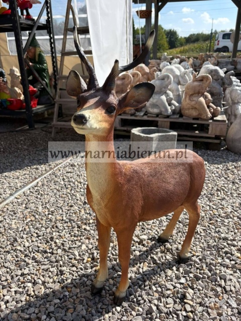 Figurka z żywicy JELONEK KOZIOŁEK Jeleń z rogami 75 cm.