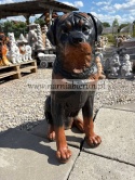 Figurka z żywicy ogrodowa Pies siedzący Rottweiler 65 cm.