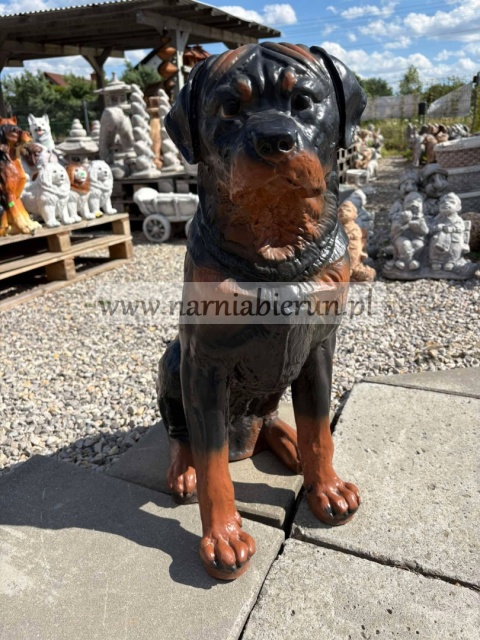 Figurka z żywicy ogrodowa Pies siedzący Rottweiler 65 cm.