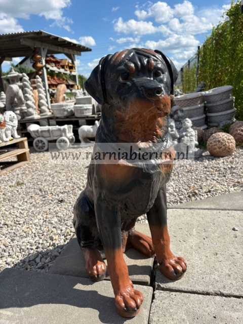 Figurka z żywicy ogrodowa Pies siedzący Rottweiler 65 cm.
