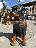 Figurka z żywicy ogrodowa Pies siedzący Rottweiler 65 cm.