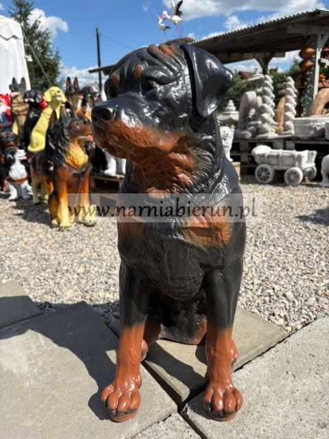 Figurka z żywicy ogrodowa Pies siedzący Rottweiler 65 cm.
