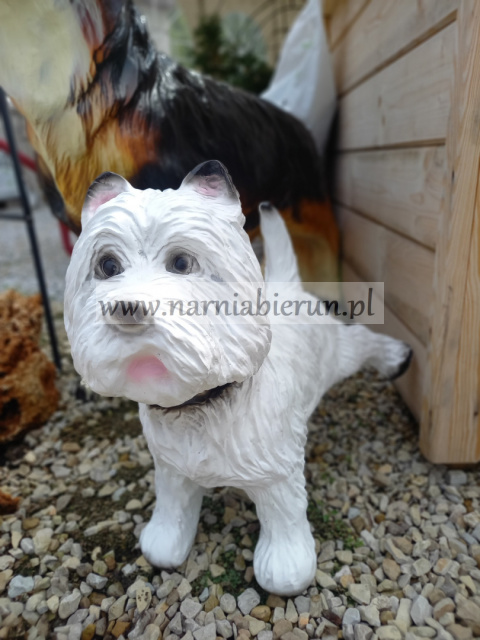Figurka z żywicy Sznaucer Maltańczyk West pies z podnieszioną nogą 50 cm Figurka z żywicy Sznaucer Maltańczyk West pies z podnieszioną nogą 50 cm