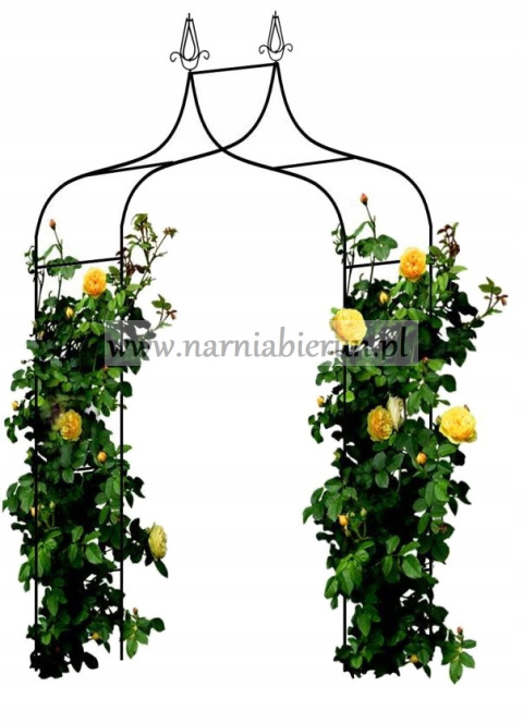 Pergola ogrodowa łukowa łuk metalowa 240cm pnącza Pergola ogrodowa łukowa łuk metalowa 240cm pnącza