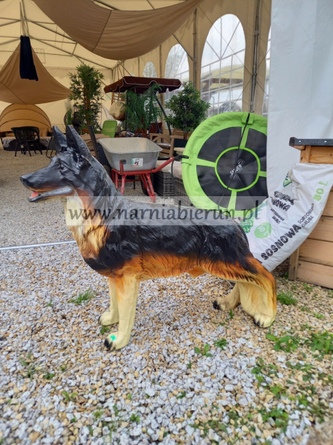 Figurka ogrodowa Pies owczarek 80 cm Figurka ogrodowa Pies owczarek 80 cm