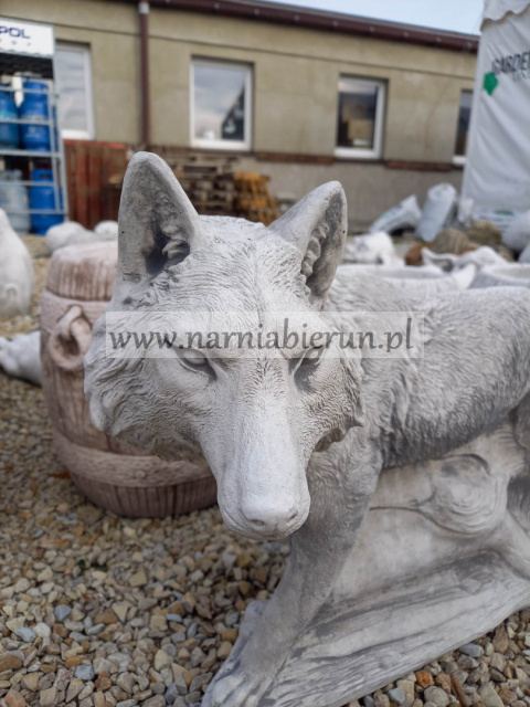 Figurka ogrodowa betonowa WILK STOJĄCY Figurka ogrodowa betonowa WILK STOJĄCY
