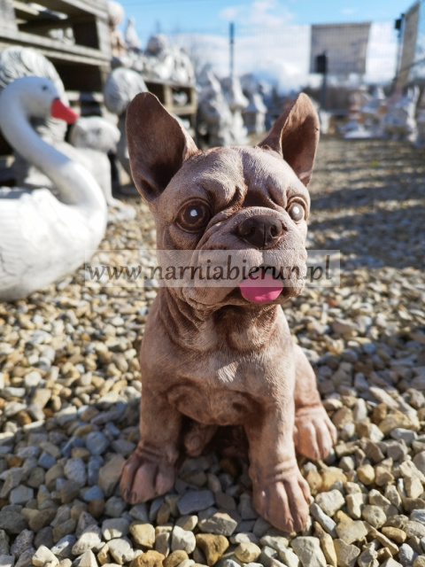 Figurka betonowa PIES BULDOG FRANCUSKI 27 cm Figurka betonowa PIES BULDOG FRANCUSKI 27 cm