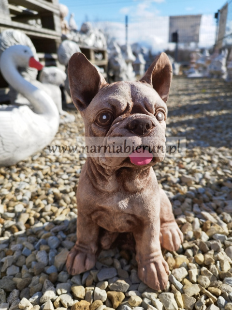 Figurka betonowa PIES BULDOG FRANCUSKI 27 cm Figurka betonowa PIES BULDOG FRANCUSKI 27 cm