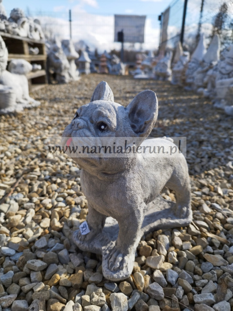 Figurka betonowa PIES BULDOG 22 cm Figurka betonowa PIES BULDOG 22 cm