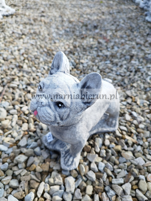 Figurka betonowa PIES BULDOG 22 cm Figurka betonowa PIES BULDOG 22 cm