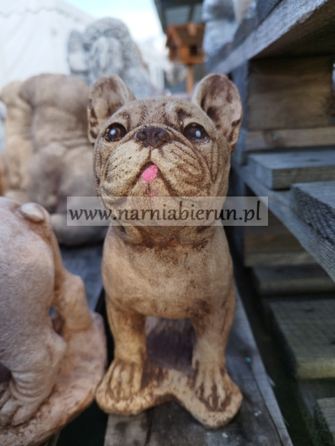 Figurka betonowa PIES BULDOG 22 cm Figurka betonowa PIES BULDOG 22 cm