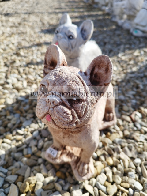 Figurka betonowa PIES BULDOG 22 cm Figurka betonowa PIES BULDOG 22 cm