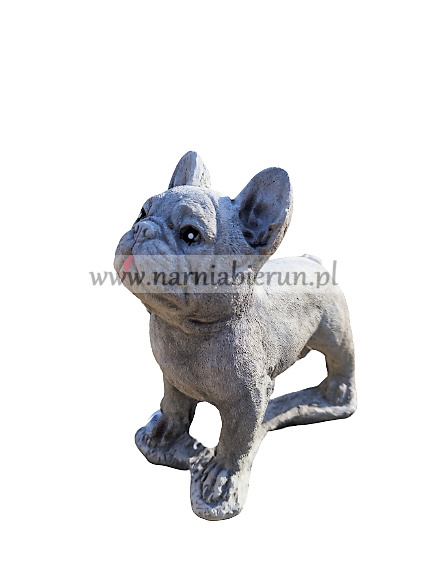 Figurka betonowa PIES BULDOG 22 cm Figurka betonowa PIES BULDOG 22 cm