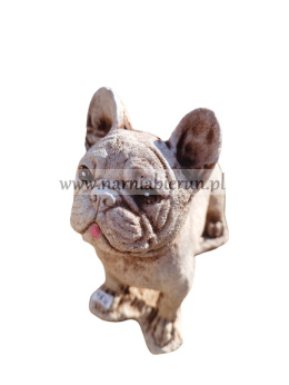 Figurka betonowa PIES BULDOG 22 cm