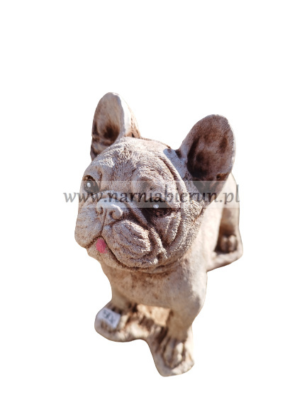 Figurka betonowa PIES BULDOG 22 cm Figurka betonowa PIES BULDOG 22 cm