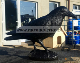 Figurka plastikowa Kruk czarny odstraszający 30 cm odstraszacz