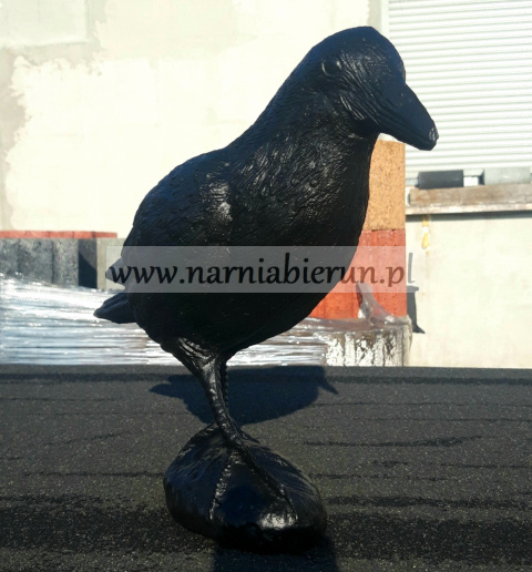 Figurka plastikowa Kruk czarny odstraszający 30 cm odstraszacz Figurka plastikowa Kruk czarny odstraszający 30 cm odstraszacz