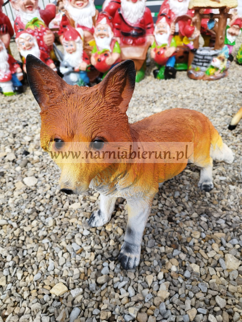 Figurka z żywcy Lisek lis 55 cm Figurka z żywcy Lisek lis 55 cm