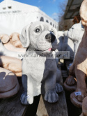 Figurka betonowa Pies piesek siedzący LABRADOR 25 cm