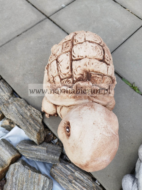 Figurka betonowa ŻÓŁW BAJKOWY 24 cm Figurka betonowa ŻÓŁW BAJKOWY 24 cm