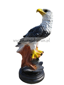 Figurka ogrodowa Orzeł Bielik ptak 70 cm