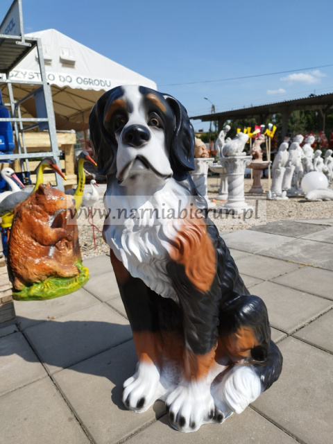 Figurka ogrodowa Berneński pies pasterski Figurka ogrodowa Berneński pies pasterski