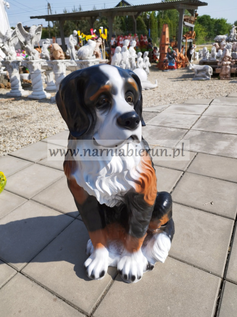 Figurka ogrodowa Berneński pies pasterski Figurka ogrodowa Berneński pies pasterski