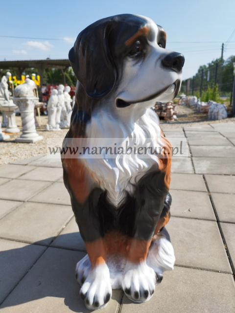 Figurka ogrodowa Berneński pies pasterski Figurka ogrodowa Berneński pies pasterski