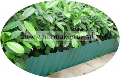Obrzeża ogrodowe zielone taśma palisada 10 x 800 cm Obrzeża ogrodowe zielone taśma palisada 10 x 800 cm