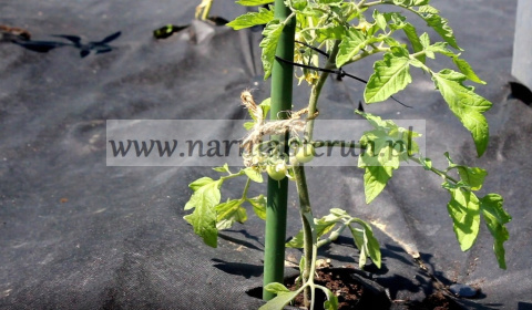 Agrowłóknina czarna 1 m x 20 m 50 g/m² Agrowłóknina czarna 1 m x 20 m 50 g/m²