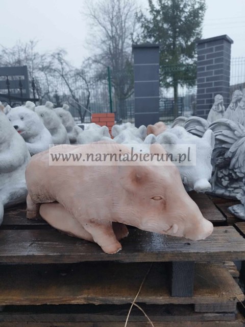 Figurka ogrodowa betonowa DZIK h20 Figurka ogrodowa betonowa DZIK h20