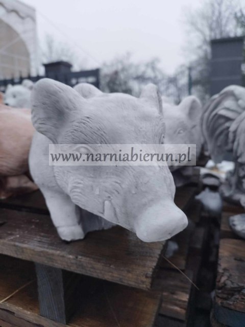 Figurka ogrodowa betonowa DZIK h20 Figurka ogrodowa betonowa DZIK h20