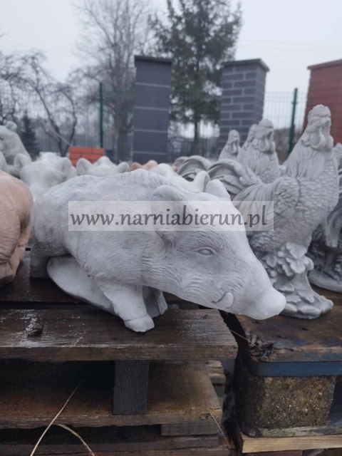 Figurka ogrodowa betonowa DZIK h20 Figurka ogrodowa betonowa DZIK h20