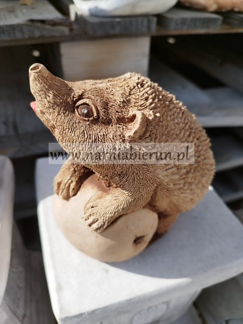 Figurka betonowa JEŻ JEŻYK Z JABŁKIEM 15 cm Figurka betonowa JEŻ JEŻYK Z JABŁKIEM 15 cm