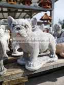 Figurka betonowa PIES BULDOG 28 cm