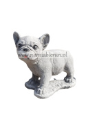Figurka betonowa PIES BULDOG 28 cm