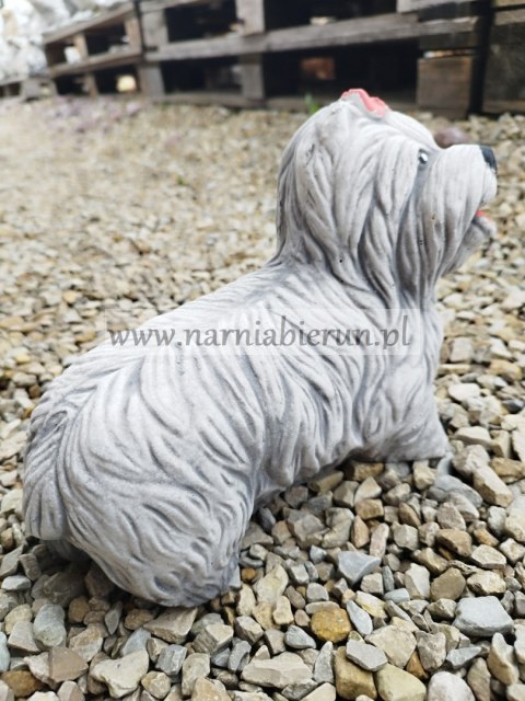 Figurka betonowa PIES YORK 27 cm Figurka betonowa PIES YORK 27 cm